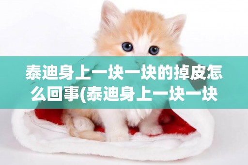 泰迪身上一塊一塊的掉皮怎么回事(泰迪身上一塊一塊的掉皮怎么回事圖片)