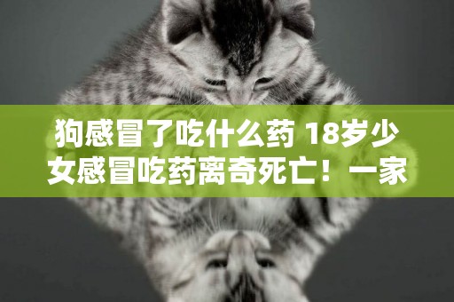 狗感冒了吃什么藥 18歲少女感冒吃藥離奇死亡！一家人苦苦尋找可怕的真相…… 