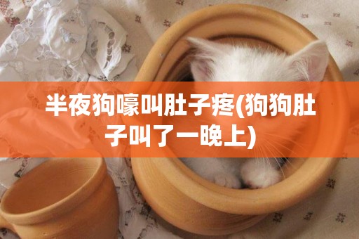 半夜狗嚎叫肚子疼(狗狗肚子叫了一晚上)