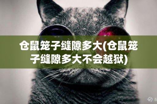 倉鼠籠子縫隙多大(倉鼠籠子縫隙多大不會越獄)