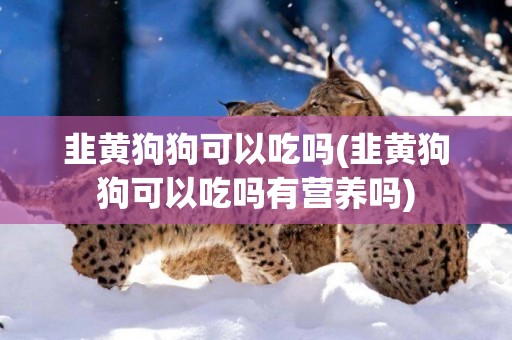 韭黃狗狗可以吃嗎(韭黃狗狗可以吃嗎有營養嗎)