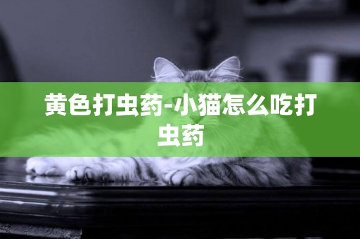 黃色打蟲藥-小貓怎么吃打蟲藥
