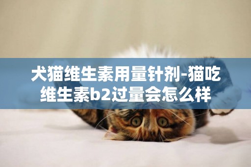 犬貓維生素用量針劑-貓吃維生素b2過量會怎么樣