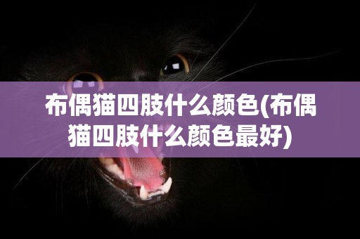 布偶貓四肢什么顏色(布偶貓四肢什么顏色最好)