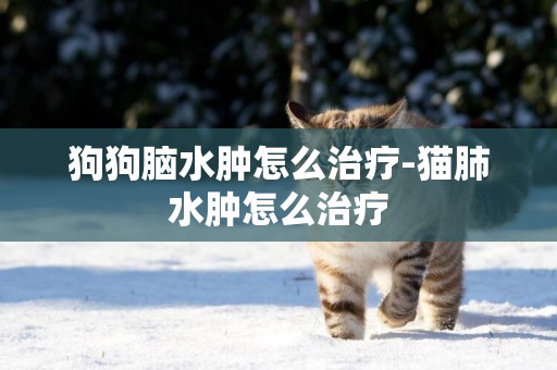 狗狗腦水腫怎么治療-貓肺水腫怎么治療