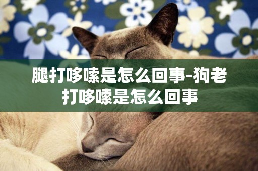 腿打哆嗦是怎么回事-狗老打哆嗦是怎么回事