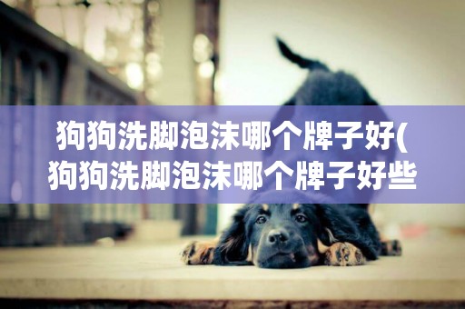 狗狗洗腳泡沫哪個牌子好(狗狗洗腳泡沫哪個牌子好些)