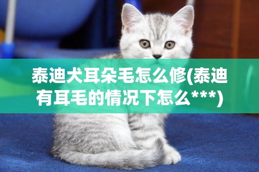 泰迪犬耳朵毛怎么修(泰迪有耳毛的情況下怎么***)