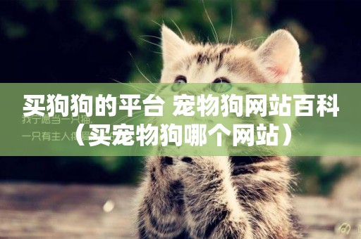 買狗狗的平臺 寵物狗網站百科（買寵物狗哪個網站） 