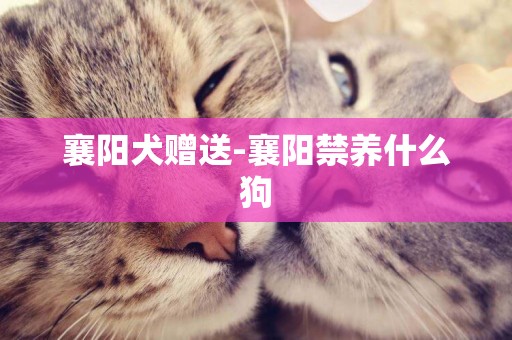 襄陽犬贈送-襄陽禁養什么狗