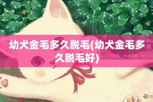 幼犬金毛多久脫毛(幼犬金毛多久脫毛好)