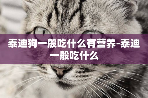 泰迪狗一般吃什么有營養-泰迪一般吃什么