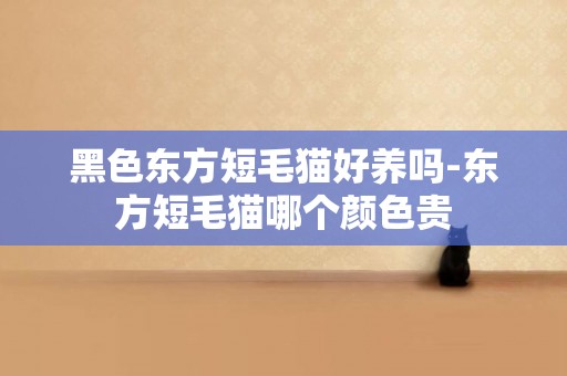黑色東方短毛貓好養嗎-東方短毛貓哪個顏色貴