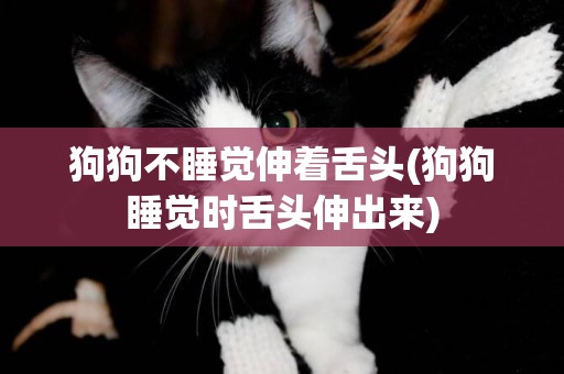 狗狗不睡覺伸著舌頭(狗狗睡覺時舌頭伸出來)