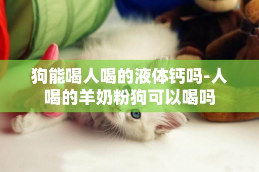 狗能喝人喝的液體鈣嗎-人喝的羊奶粉狗可以喝嗎