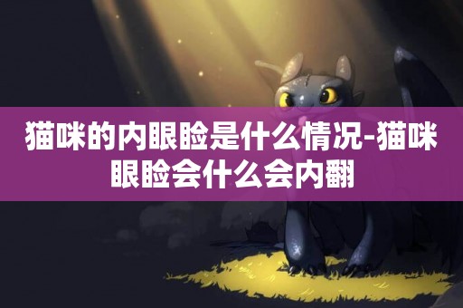 貓咪的內眼瞼是什么情況-貓咪眼瞼會什么會內翻