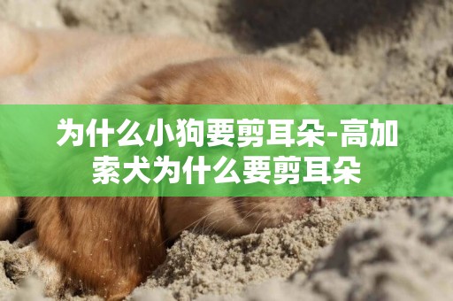 為什么小狗要剪耳朵-高加索犬為什么要剪耳朵