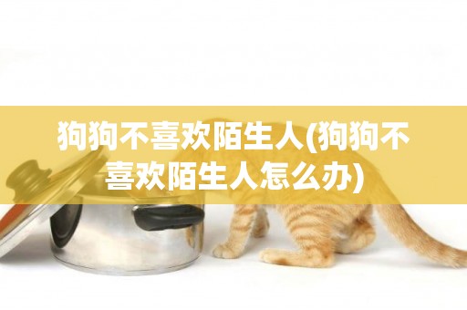 狗狗不喜歡陌生人(狗狗不喜歡陌生人怎么辦)