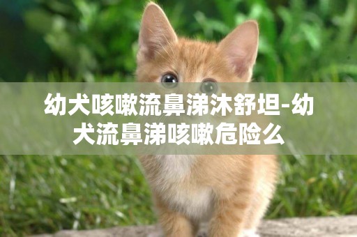 幼犬咳嗽流鼻涕沐舒坦-幼犬流鼻涕咳嗽危險么