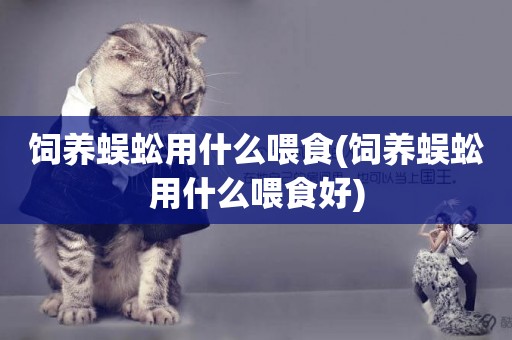 飼養蜈蚣用什么喂食(飼養蜈蚣用什么喂食好)