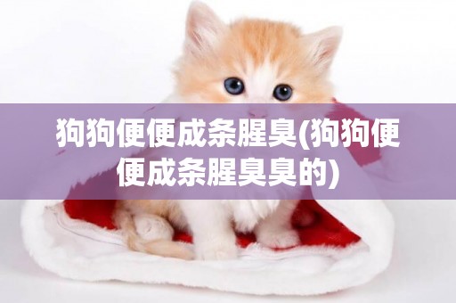 狗狗便便成條腥臭(狗狗便便成條腥臭臭的)