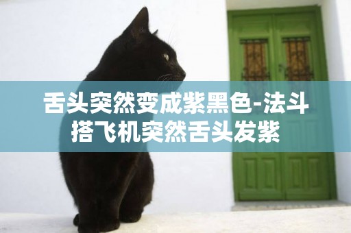 舌頭突然變成紫黑色-法斗搭飛機突然舌頭發紫