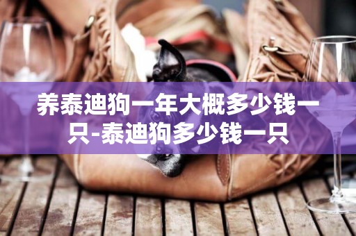 養泰迪狗一年大概多少錢一只-泰迪狗多少錢一只