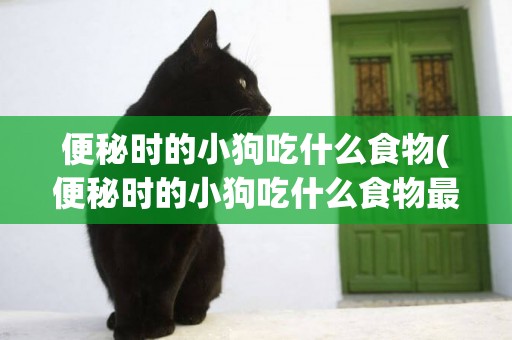 便秘時的小狗吃什么食物(便秘時的小狗吃什么食物最好)
