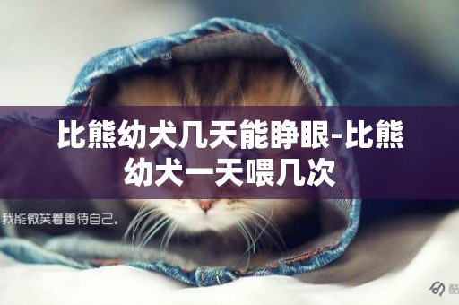 比熊幼犬幾天能睜眼-比熊幼犬一天喂幾次
