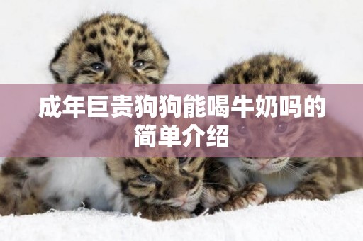 成年巨貴狗狗能喝牛奶嗎的簡單介紹