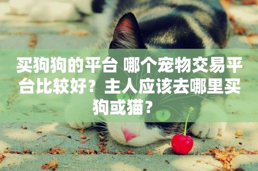 買狗狗的平臺 哪個寵物交易平臺比較好？主人應該去哪里買狗或貓？ 