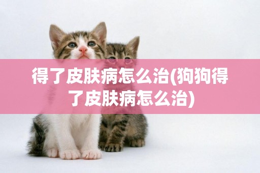 得了皮膚病怎么治(狗狗得了皮膚病怎么治)
