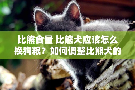 比熊食量 比熊犬應該怎么換狗糧？如何調整比熊犬的食量？ 