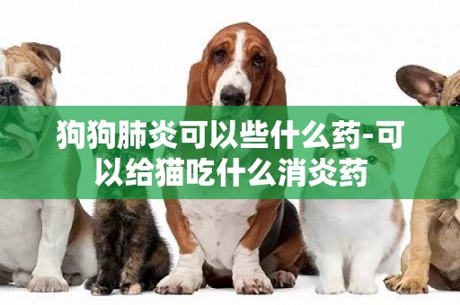 狗狗肺炎可以些什么藥-可以給貓吃什么消炎藥