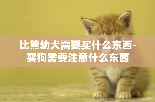比熊幼犬需要買什么東西-買狗需要注意什么東西