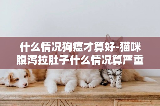 什么情況狗瘟才算好-貓咪腹瀉拉肚子什么情況算嚴重