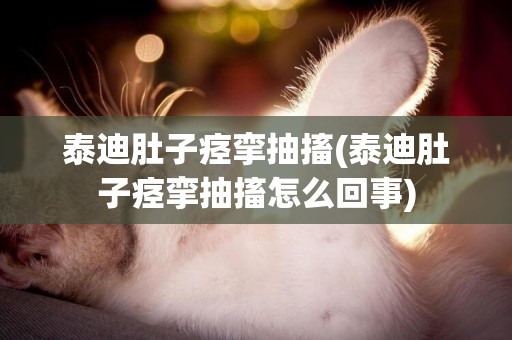 泰迪肚子痙攣抽搐(泰迪肚子痙攣抽搐怎么回事)