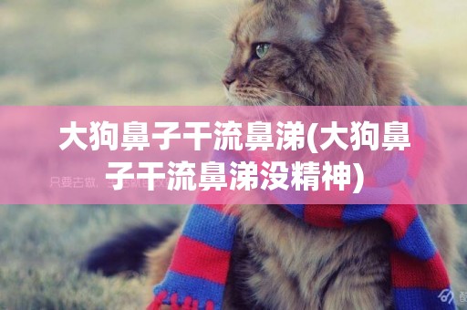 大狗鼻子干流鼻涕(大狗鼻子干流鼻涕沒精神)