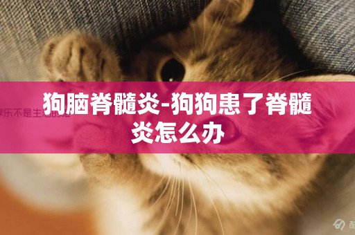 狗腦脊髓炎-狗狗患了脊髓炎怎么辦