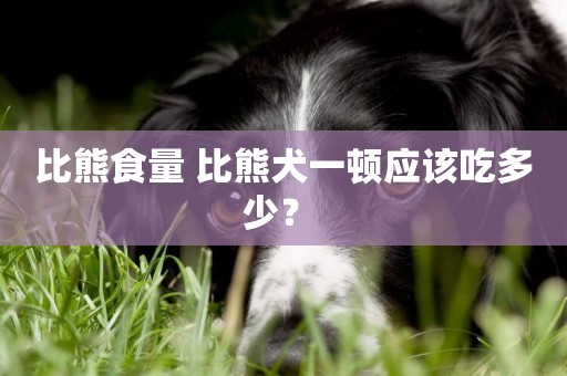 比熊食量 比熊犬一頓應該吃多少？ 