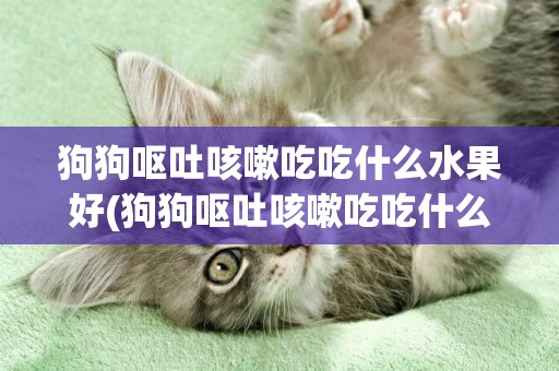 狗狗嘔吐咳嗽吃吃什么水果好(狗狗嘔吐咳嗽吃吃什么水果好呢)