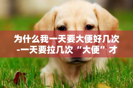 為什么我一天要大便好幾次-一天要拉幾次“大便”才算正常