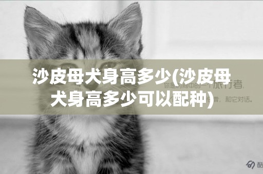沙皮母犬身高多少(沙皮母犬身高多少可以配種)