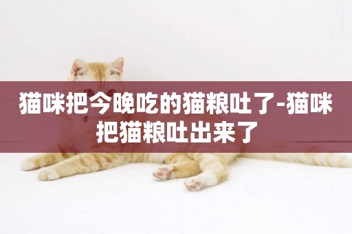 貓咪把今晚吃的貓糧吐了-貓咪把貓糧吐出來了