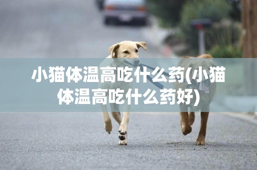 小貓體溫高吃什么藥(小貓體溫高吃什么藥好)