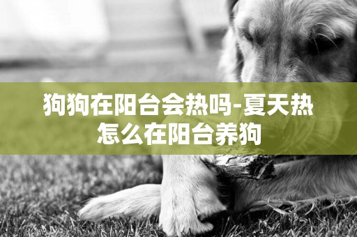 狗狗在陽臺會熱嗎-夏天熱怎么在陽臺養狗