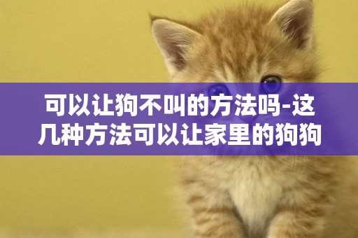 可以讓狗不叫的方法嗎-這幾種方法可以讓家里的狗狗不亂咬東西