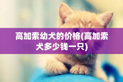 高加索幼犬的價格(高加索犬多少錢一只)