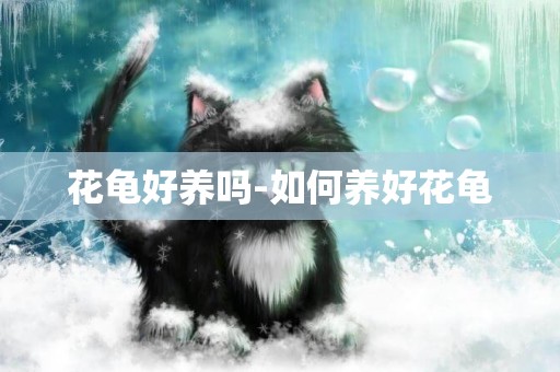 花龜好養嗎-如何養好花龜