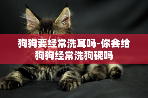 狗狗要經常洗耳嗎-你會給狗狗經常洗狗碗嗎